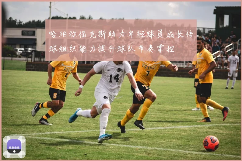 哈珀称福克斯助力年轻球员成长传球组织能力提升球队节奏掌控